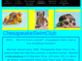 chesapeakeswimclub.com