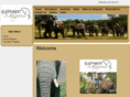 elephantwhispers.co.za