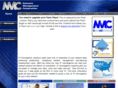 netmgmt.com