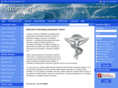 strombergchiropractic.com