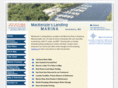 amesburymarina.com