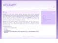 rteam-inc.com
