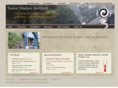 taosit.com