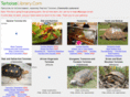 tortoiselibrary.com