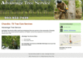 advantagetreeservicechandlertx.com