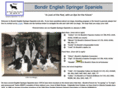 bondir.com