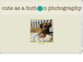 cuteasabuttonphotography.com