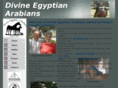 divineegyptianarabians.com