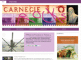 carnegierocks.com