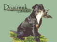drycreeklabradors.com