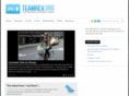 teamrev.org