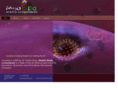 mededmedia.net