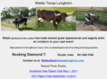 waldotexaslonghorn.com