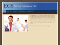 e-codesolutions.com