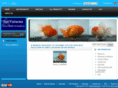 starfisheries.co.uk