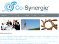 co-synergie.com