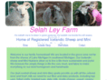 selahleyfarm.com