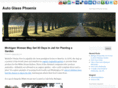 auto-glass-phoenix.net