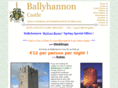 ballyhannon-castle.com