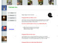 cainesinc.com
