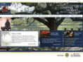 casteelmcgoey.com