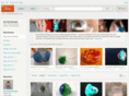 davesheelydesigns.com