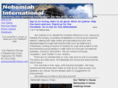 nehemiah-intnl.com