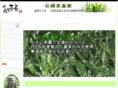 okachaya.com