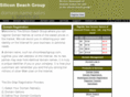 siliconbeachgroup.net