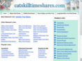 catskilltimeshares.com