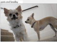 parisandbradley.com