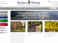 patrickpinker.com