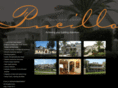 pucillodesignmanagement.com