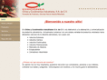 chiconsa.net