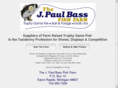 jpaulbass.com