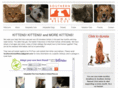 southernanimalrescue.com