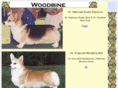 woodbine-pwc.com