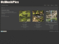 battletruck.com