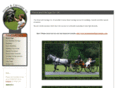 countyhorse.com