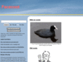facecoot.com