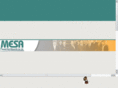 mesaymm.com