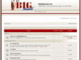 mybigshaadi.com