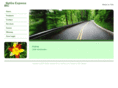 netgoexpress.com