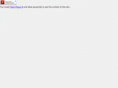 flashmuseum.com