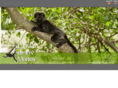 monkeyislandperu.com
