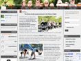 strollerpower.com