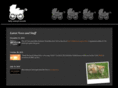 babyanimalrecords.com