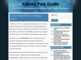 kidneypainguide.com