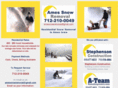 amessnowremoval.com