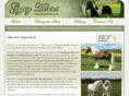 coatesgypsyhorses.com